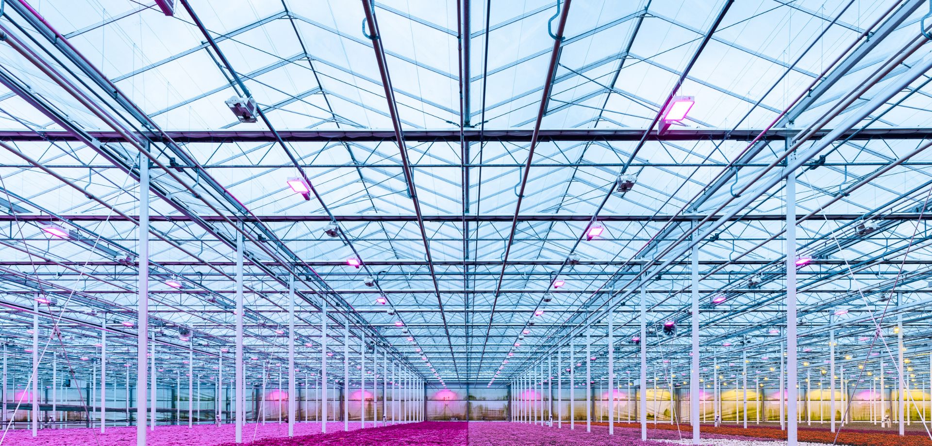 Modern LED-es nevelő- és pótmegvilágítás